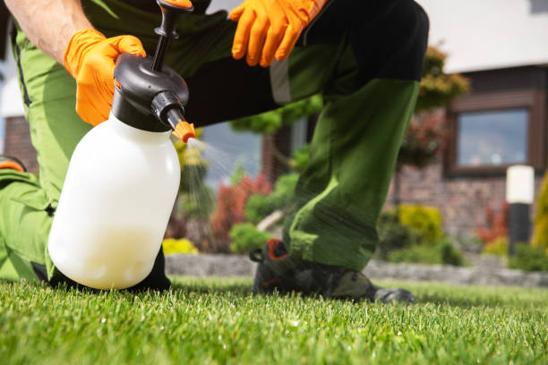 Best Best Pest Control Companies  in Stratmoor, CO