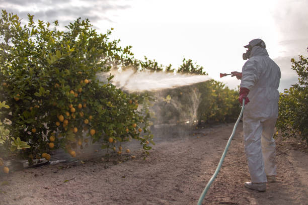 Best Commercial Pest Control Services  in Stratmoor, CO