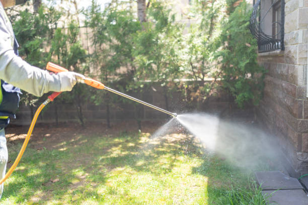 Best Pest Prevention Services  in Stratmoor, CO