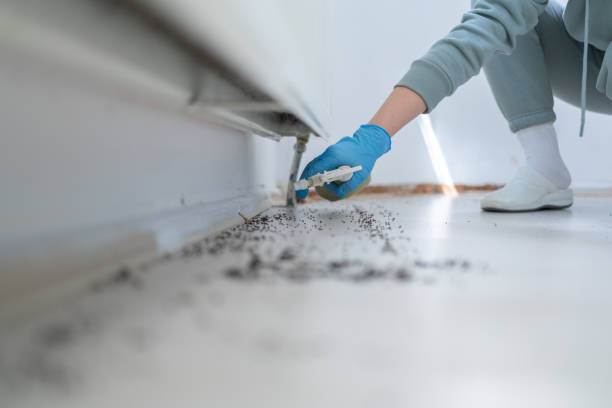 Best Pest Control Cost  in Stratmoor, CO